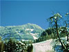 Winter4